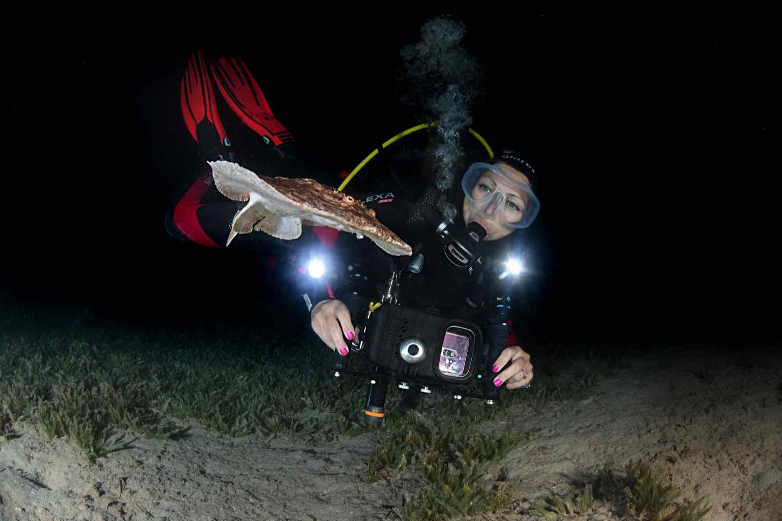 SSI Night and Limited Visibility Diver Course Malta | Dive After Dark ...