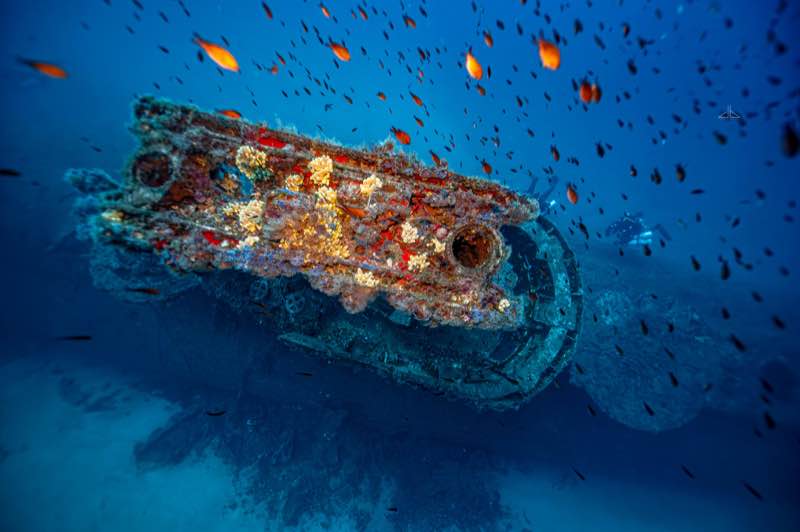 HMS Stubborn conning tower at 45m, encrusted with marine growth. Photo: Jon Borg