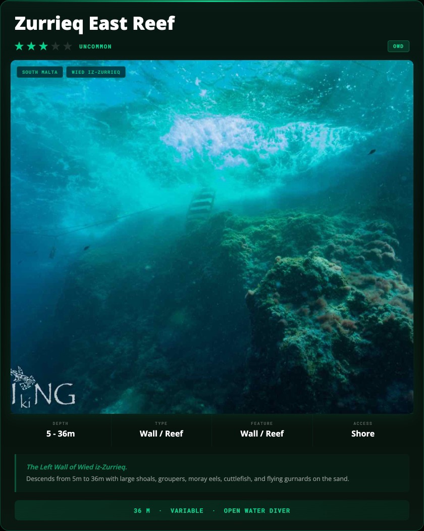 Zurrieq East Reef Diving Malta dive site card