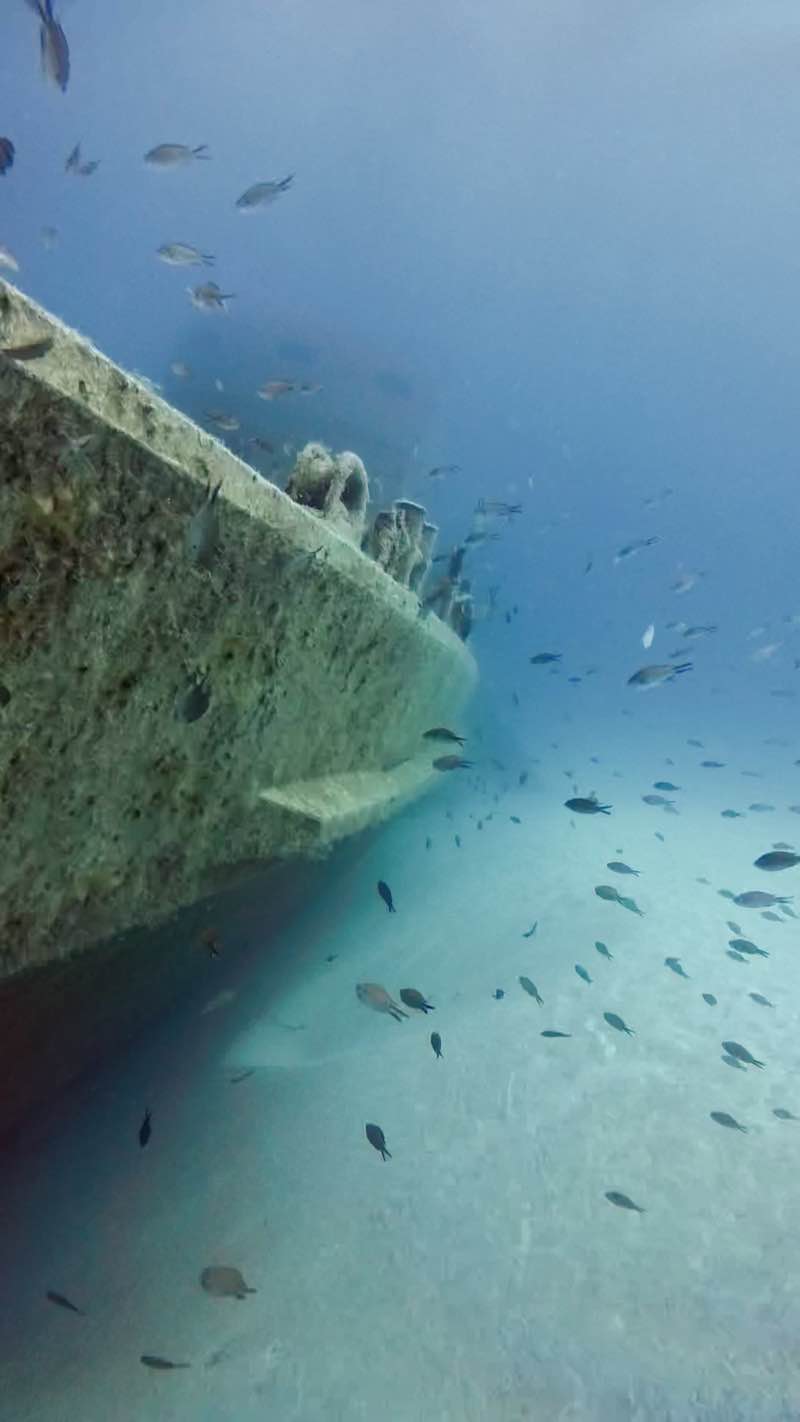 P31 upper deck and hull with fish school