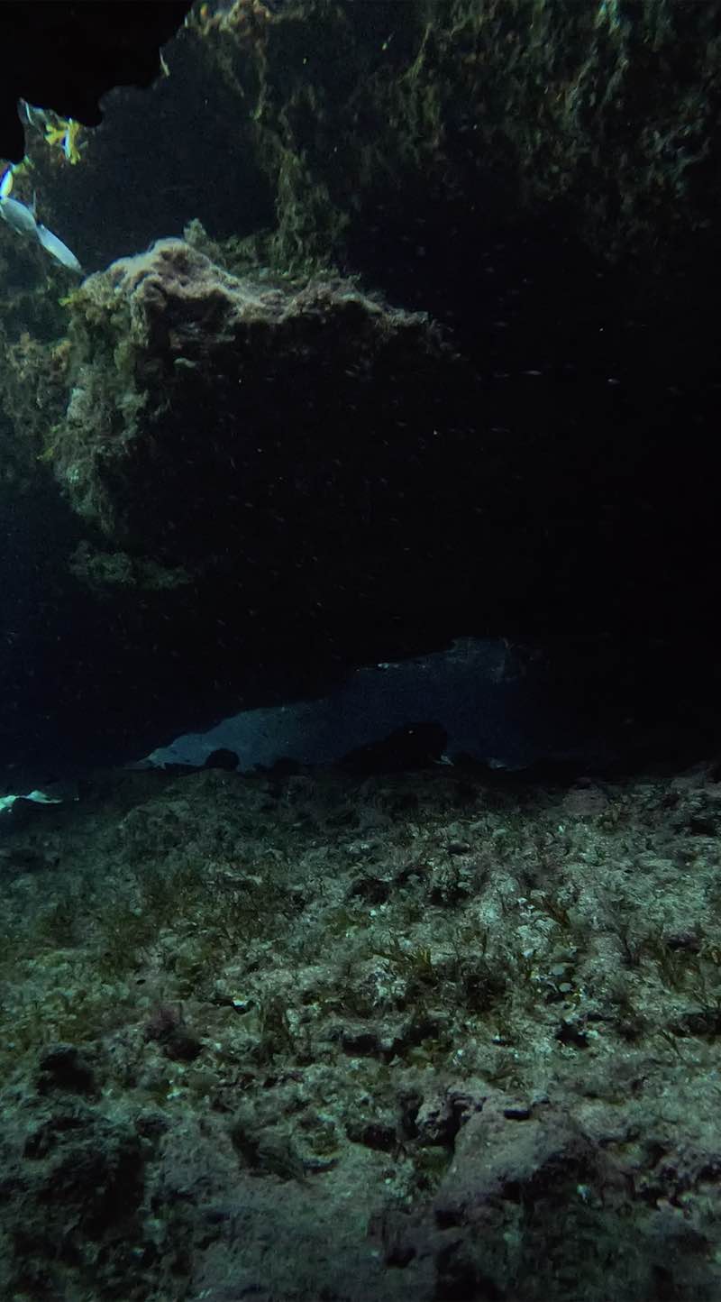 Inside the Ghar Lapsi cave system, south Malta