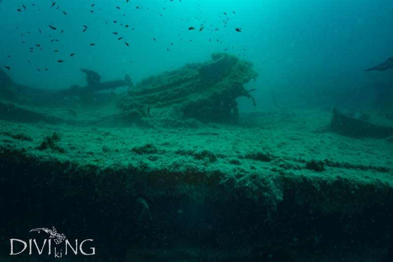 HMS Maori bow turret with schooling fish, Grand Harbour Valletta