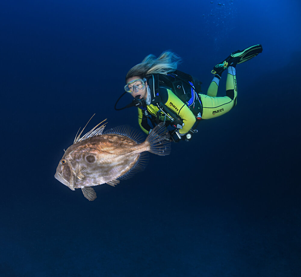 Flexible dive scheduling Malta