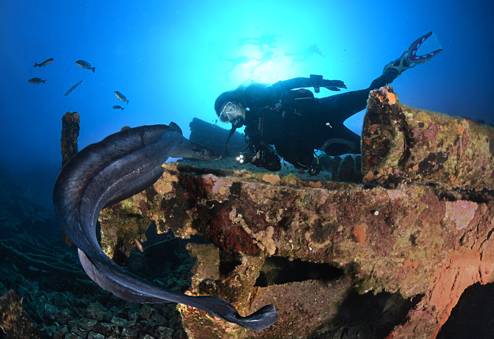 Twenty dive Malta programme