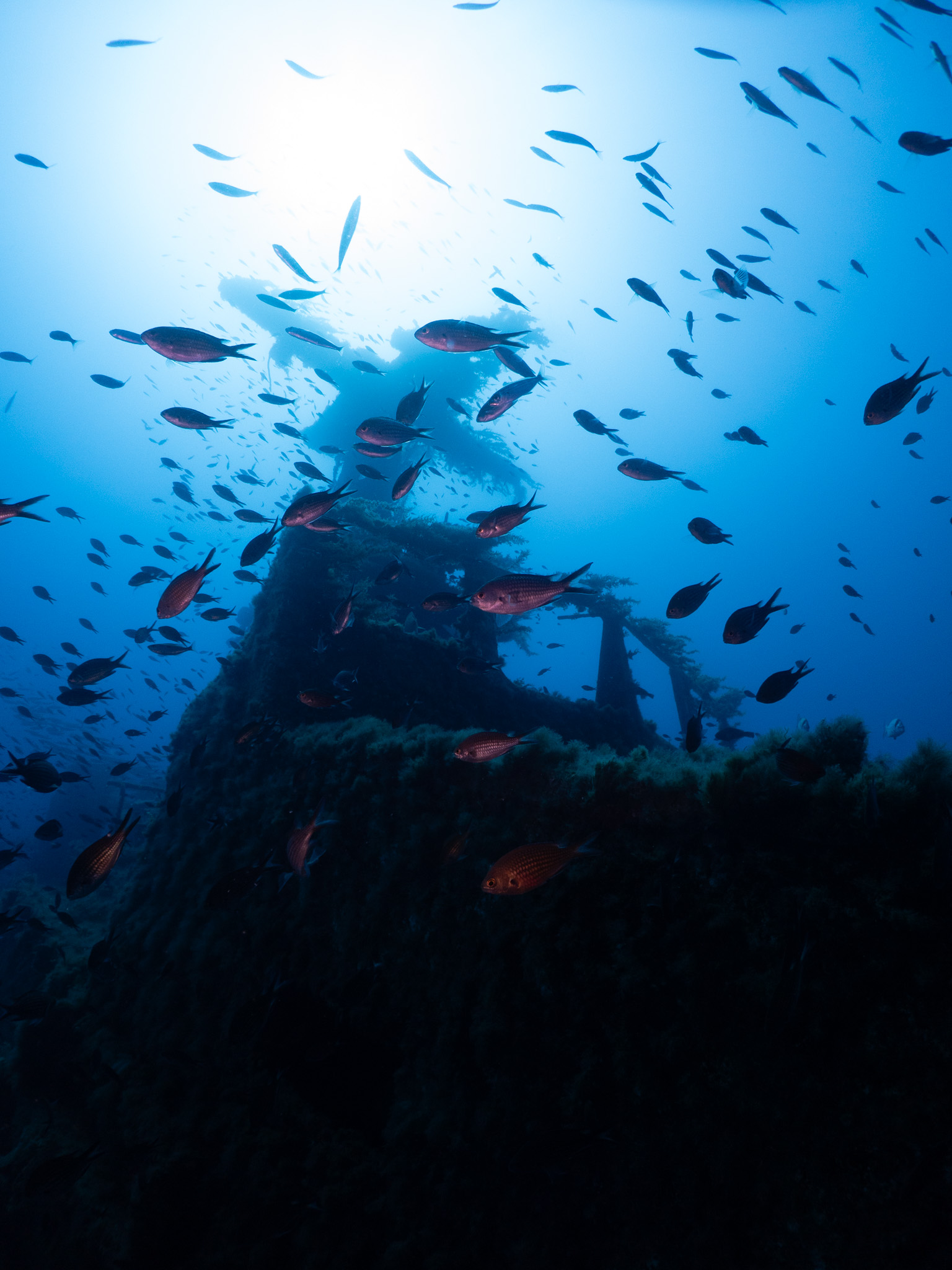 P29 minesweeper wreck Malta