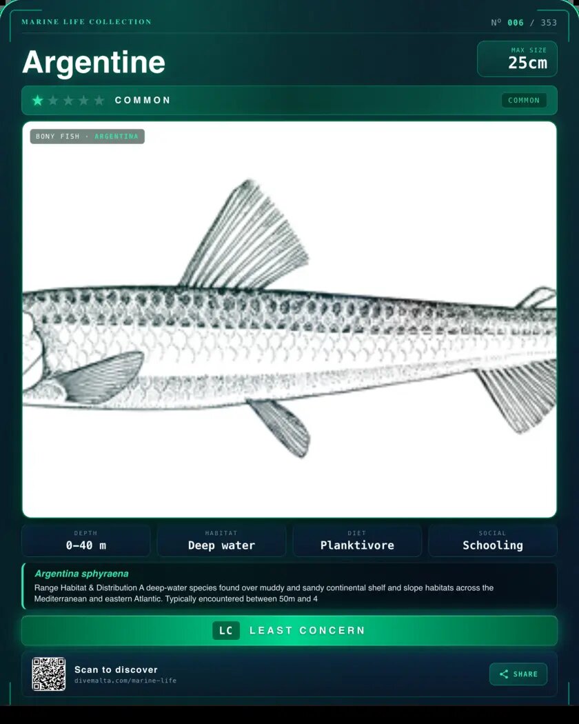 Argentine species card