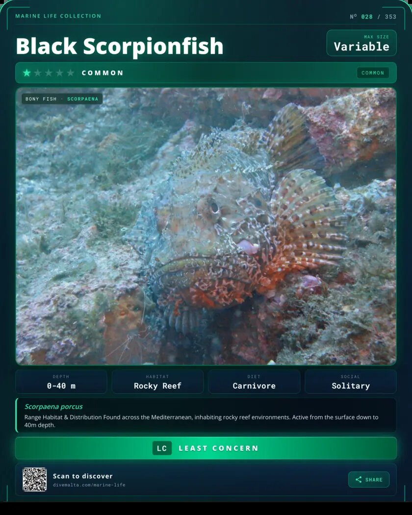 Black Scorpionfish species card