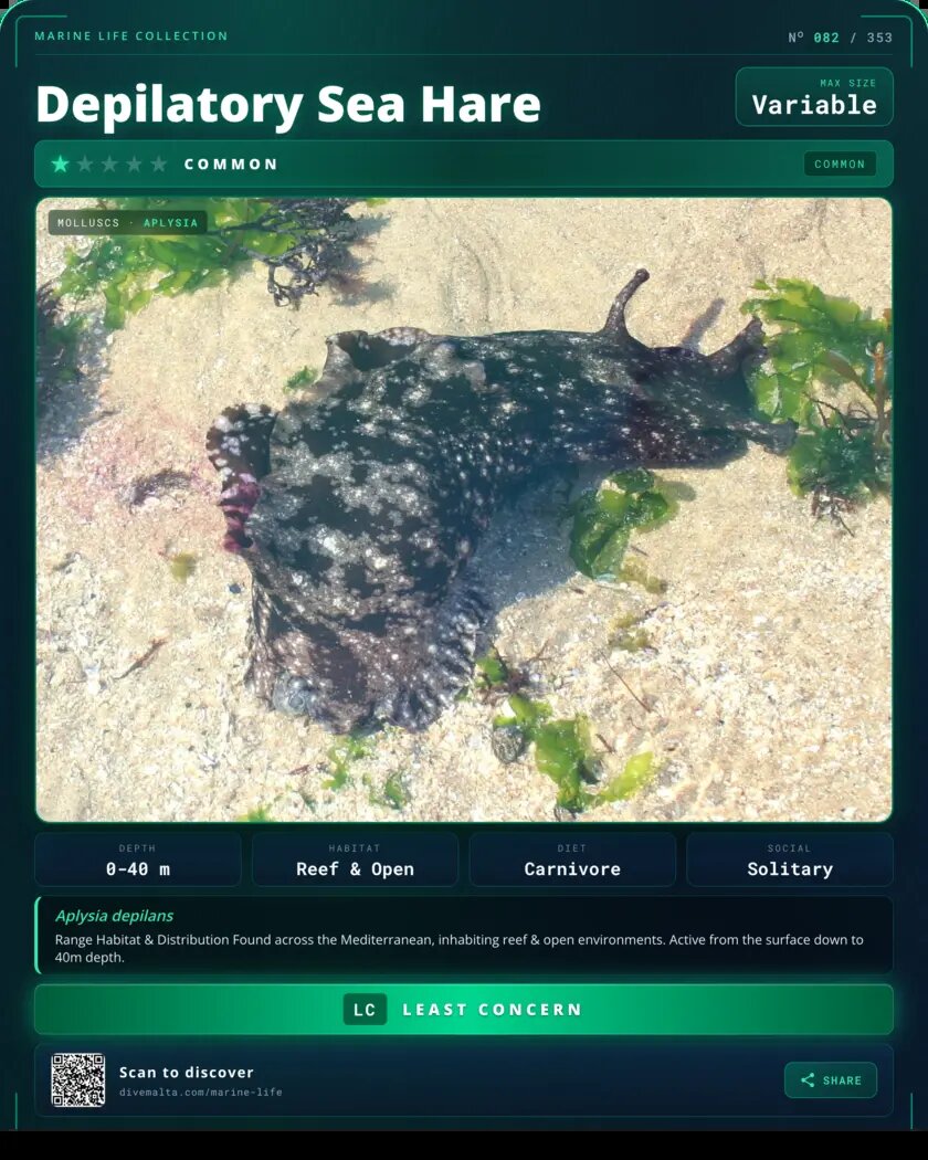 Depilatory Sea Hare species card