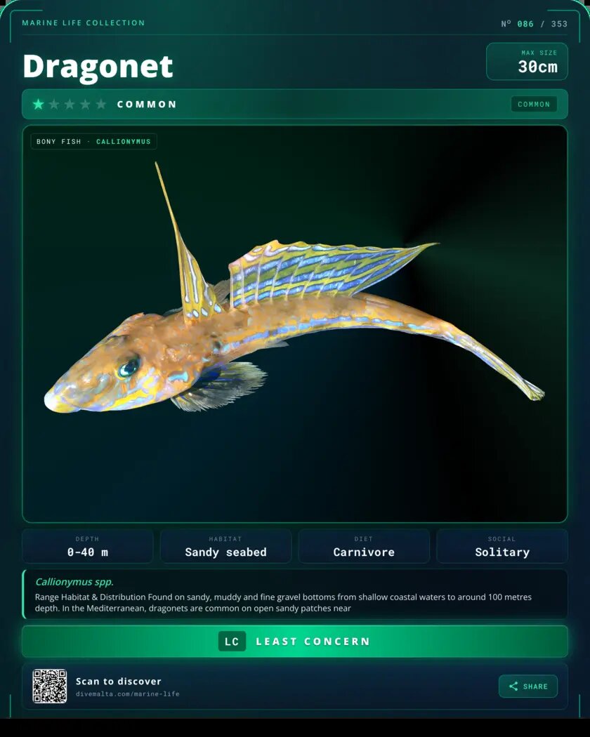 Dragonet species card