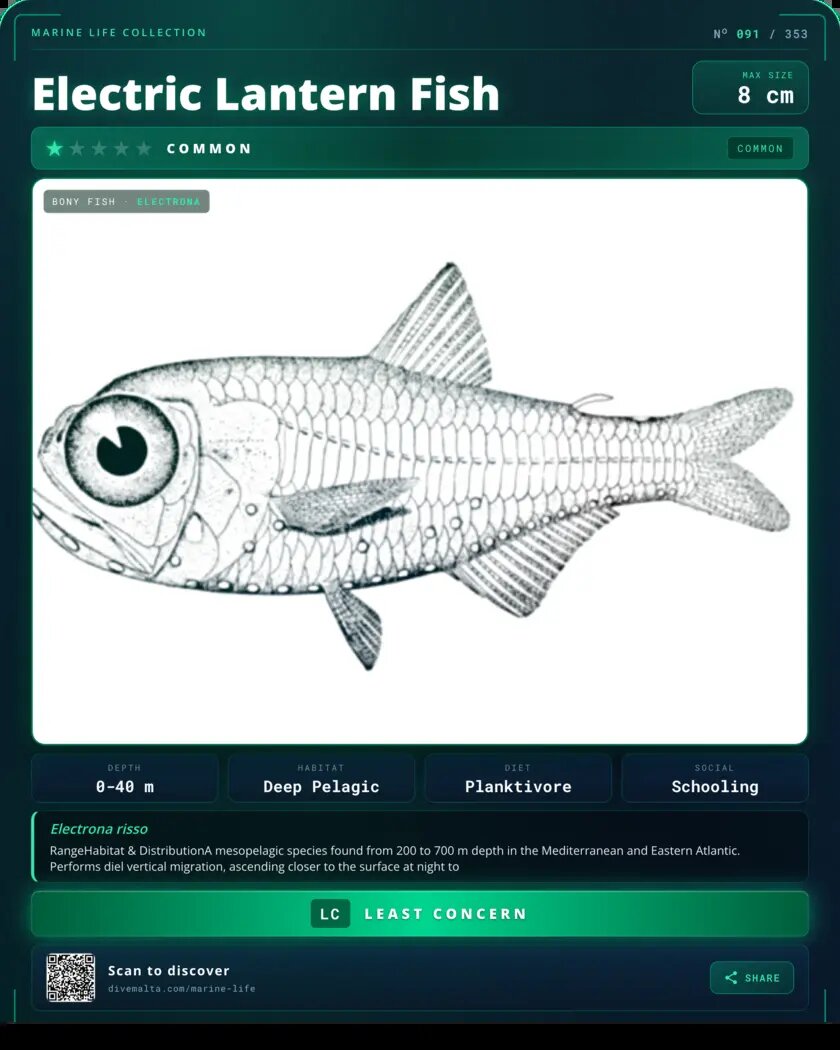Electric Lantern Fish species card