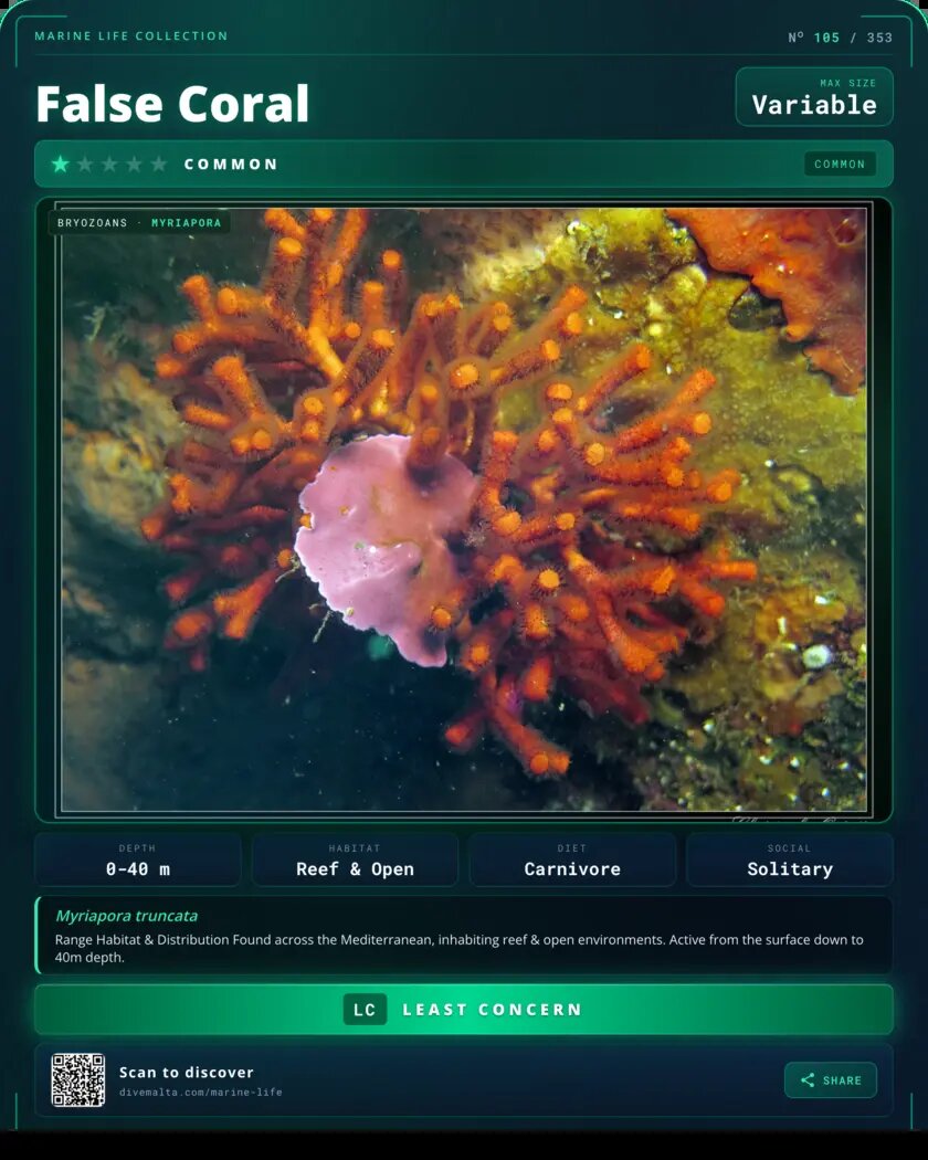 False Coral species card