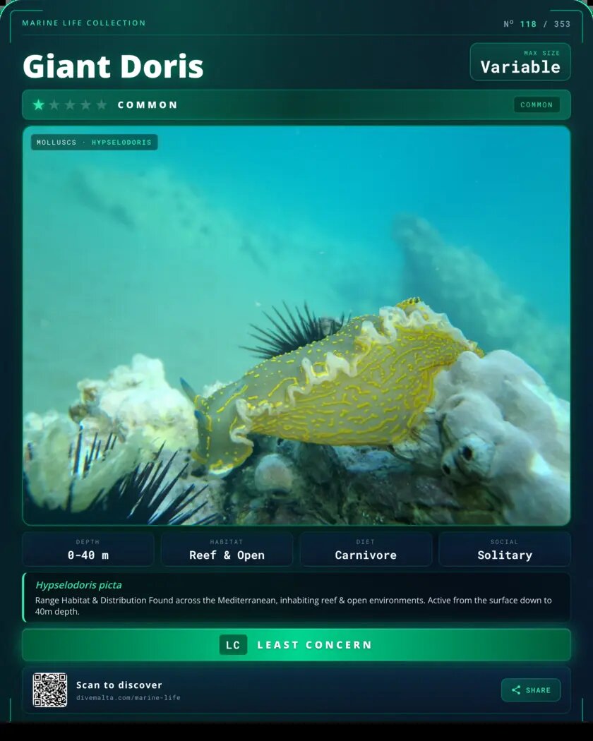 Giant Doris species card