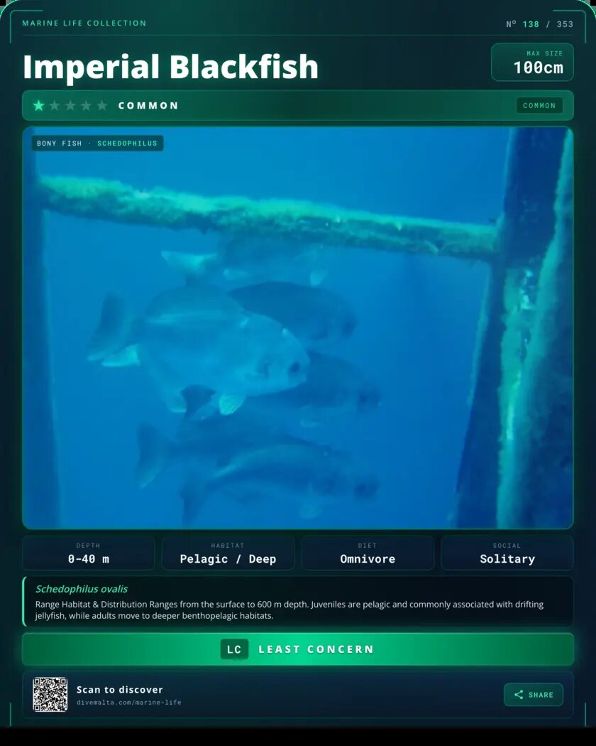 Imperial Blackfish species card