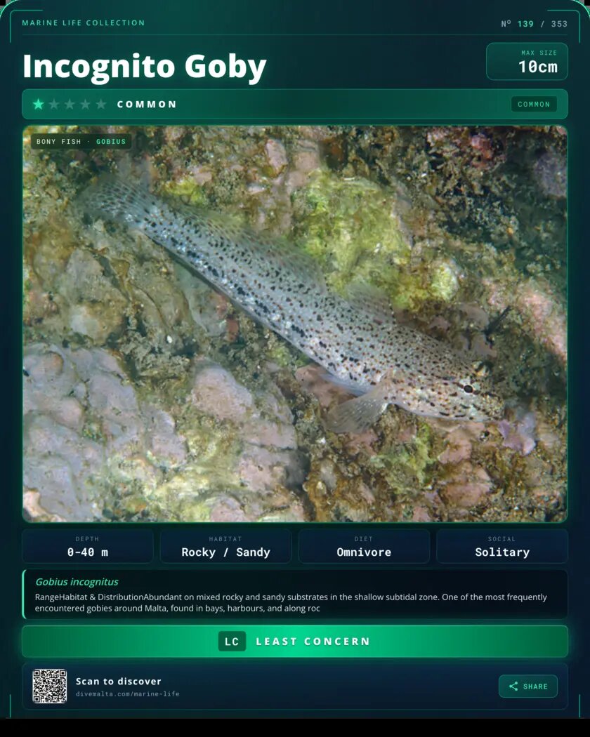Incognito Goby species card