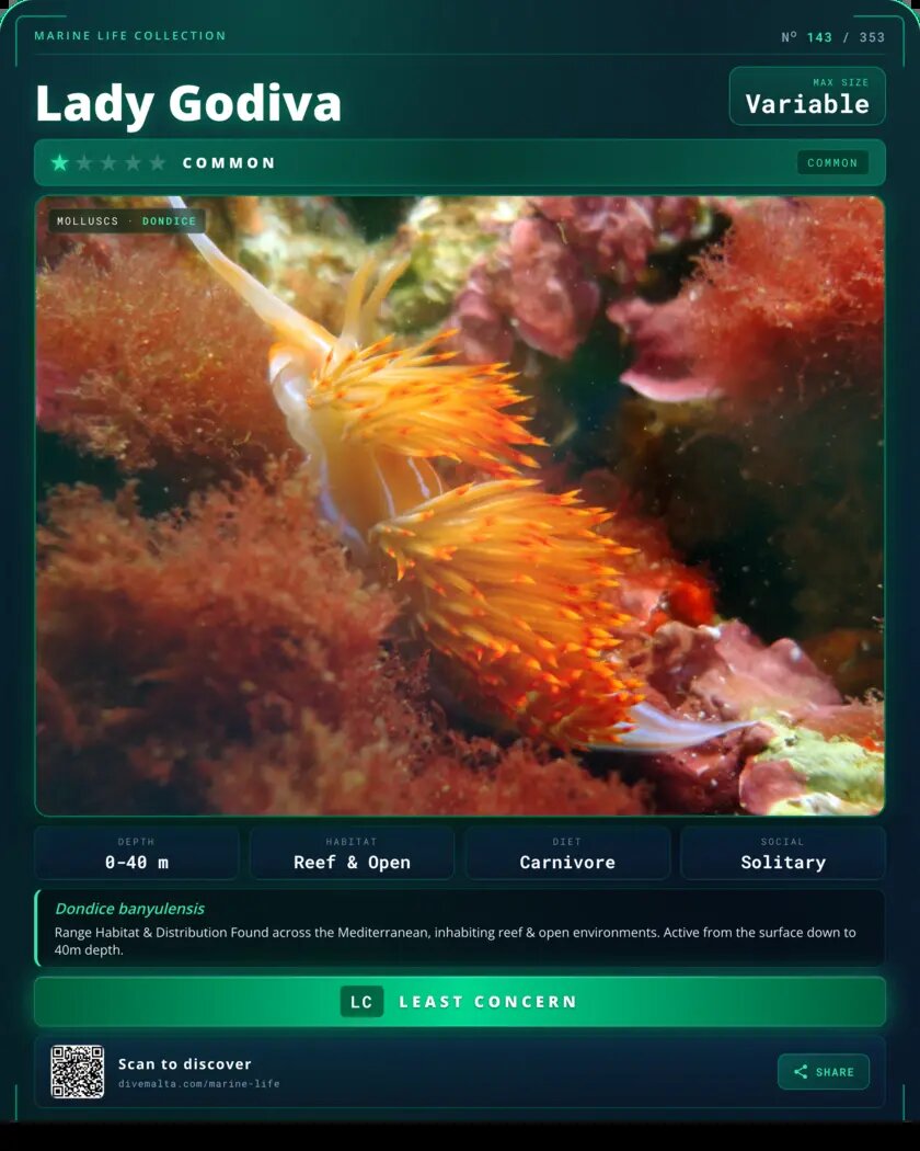 Lady Godiva species card