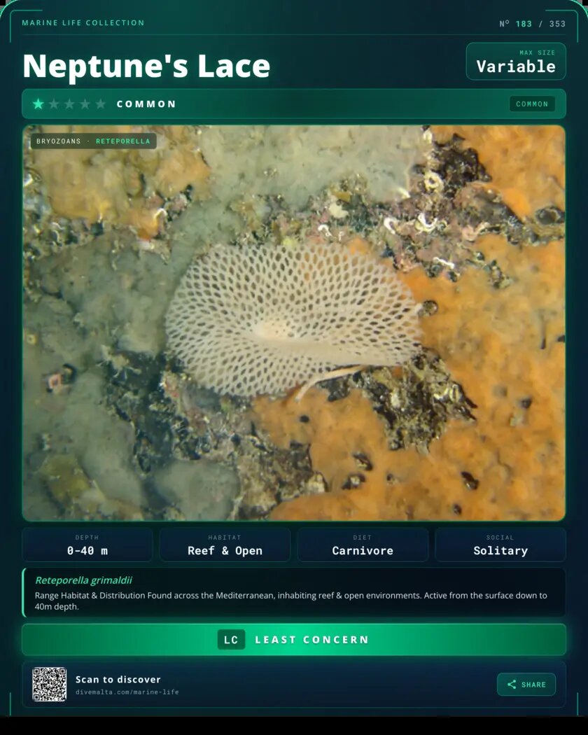 Neptune's Lace species card