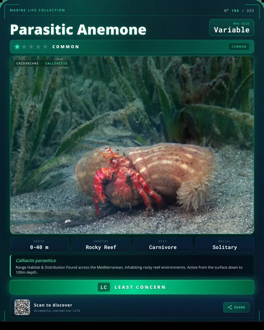 Parasitic Anemone species card