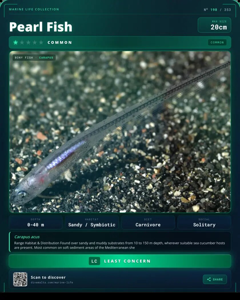 Pearl Fish species card