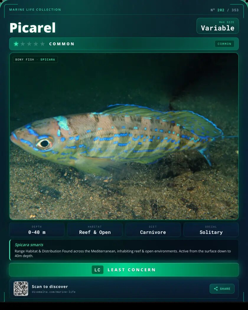 Picarel species card