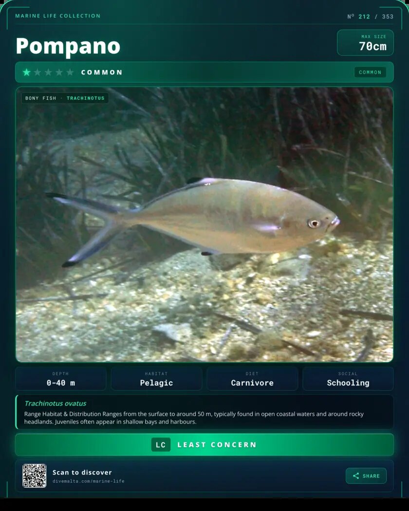 Pompano species card