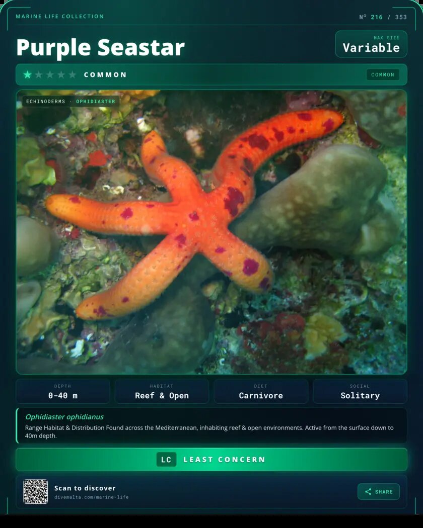 Purple Seastar species card