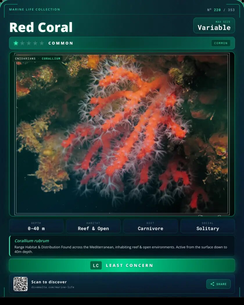 Red Coral species card