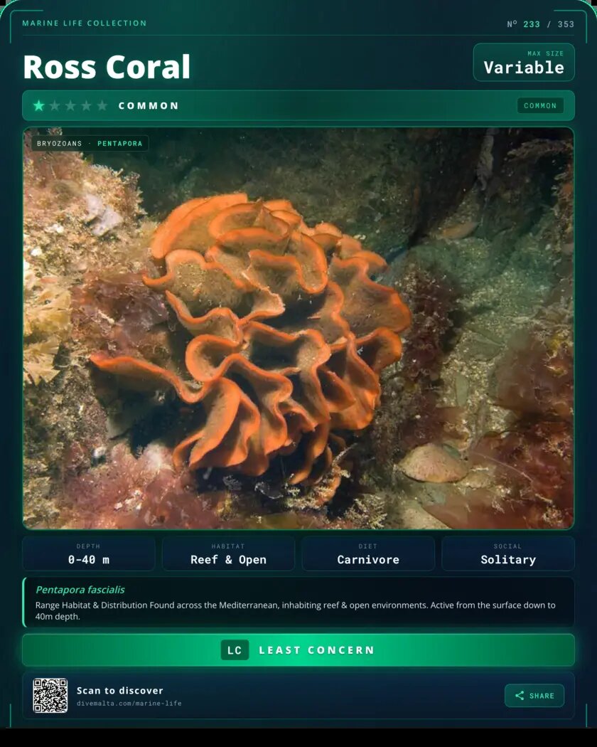 Ross Coral species card