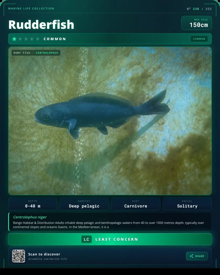 Rudderfish species card