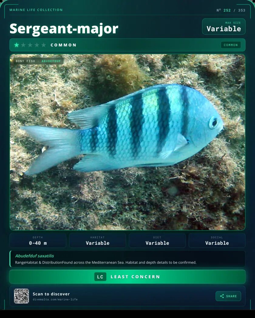 Sergeant-major species card