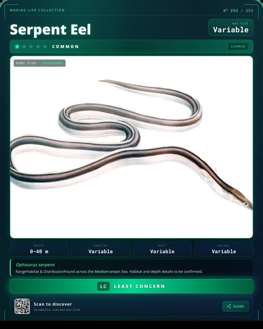 Serpent Eel species card