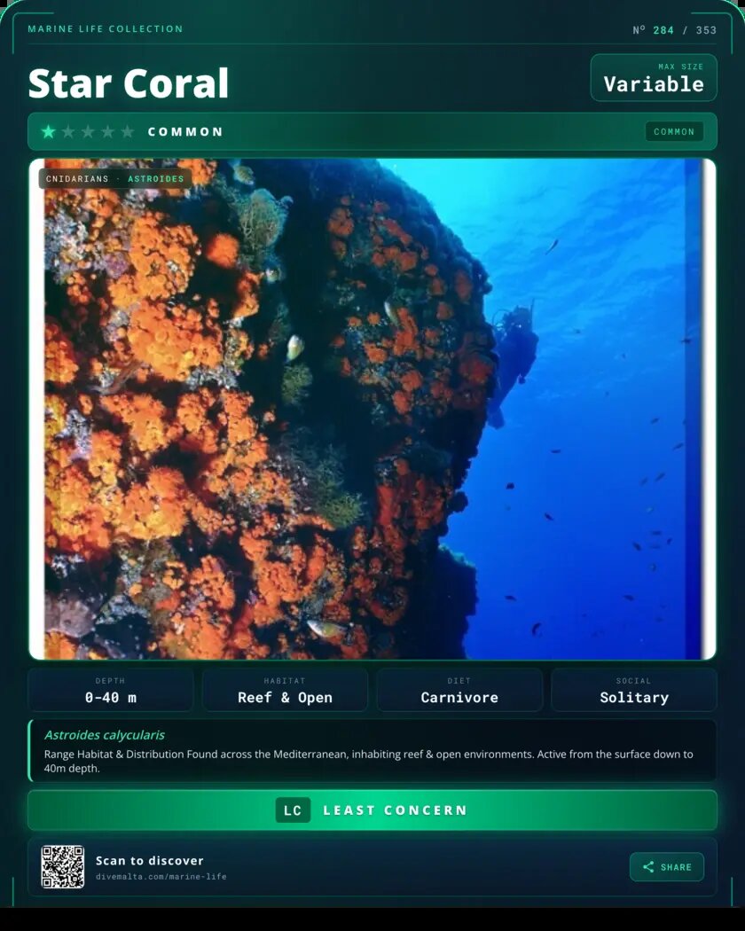 Star Coral species card