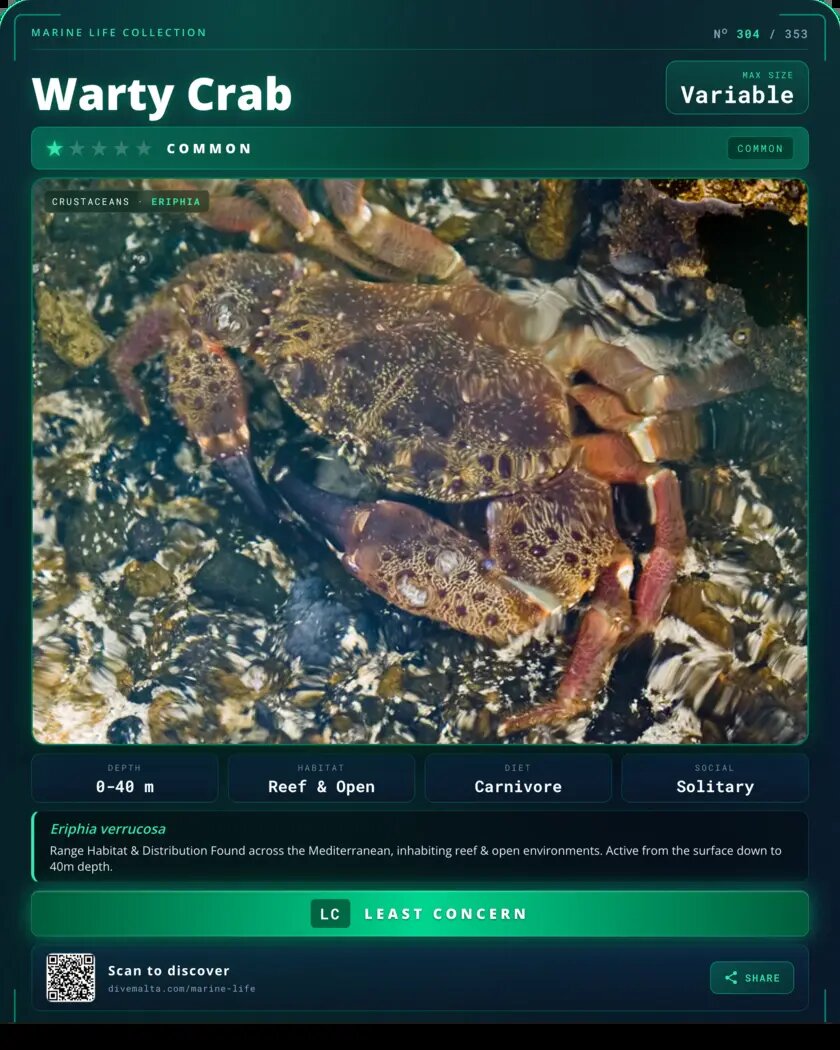 Warty Crab species card