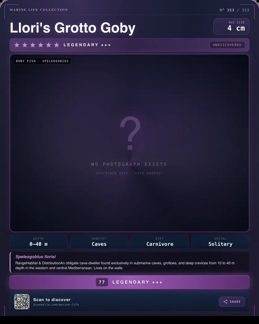 Llori's Grotto Goby species card