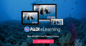 eLearning Online - Dive Theory